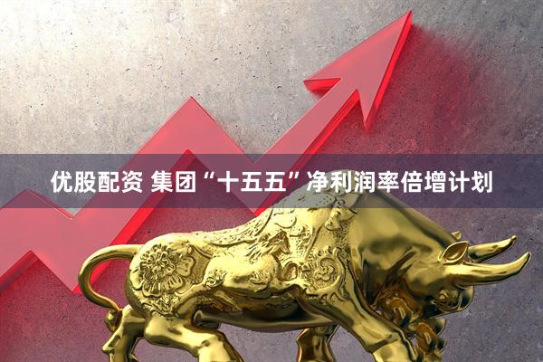 优股配资 集团“十五五”净利润率倍增计划
