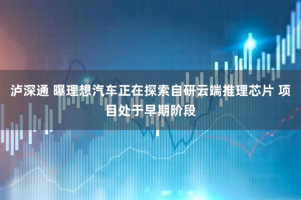泸深通 曝理想汽车正在探索自研云端推理芯片 项目处于早期阶段